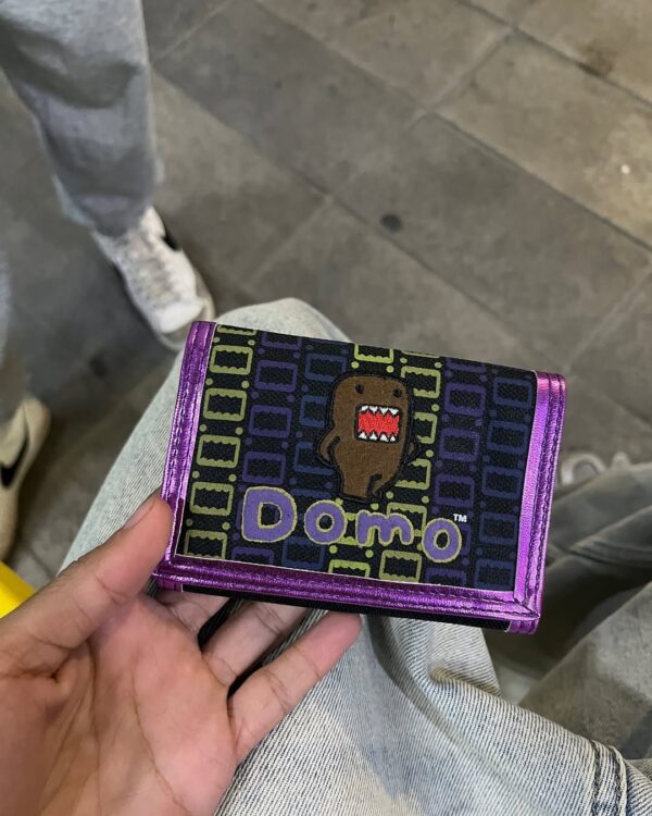 Cartera Domo